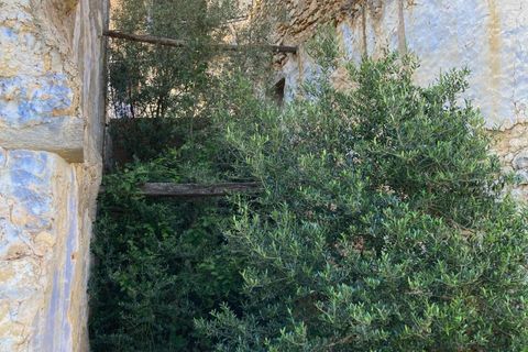 Landejendom i El Perello, Tarragona, El Perello - € 11.000 | Ref: Finca Casa Vist - foto 10